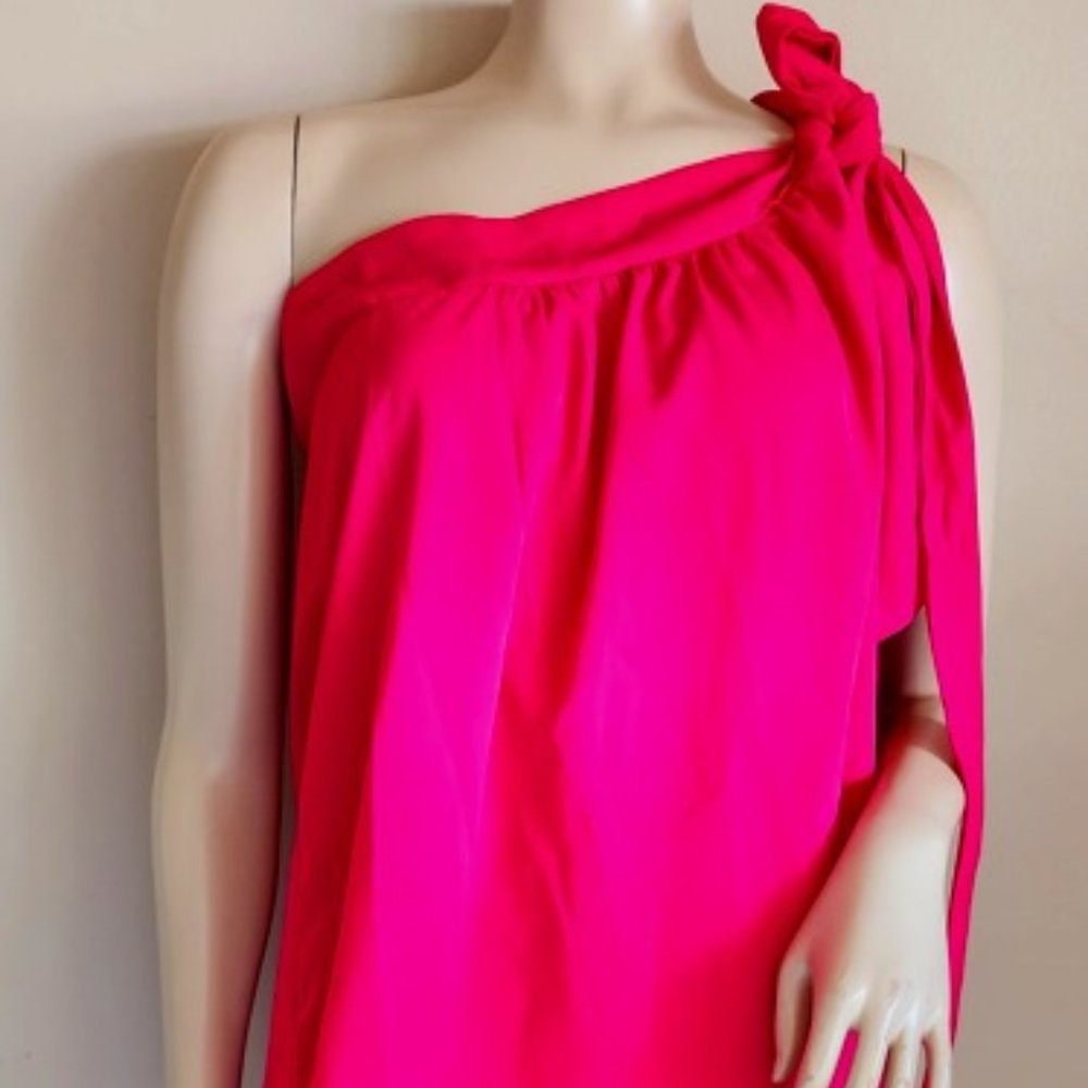 Beautiful Pink Silk Female top